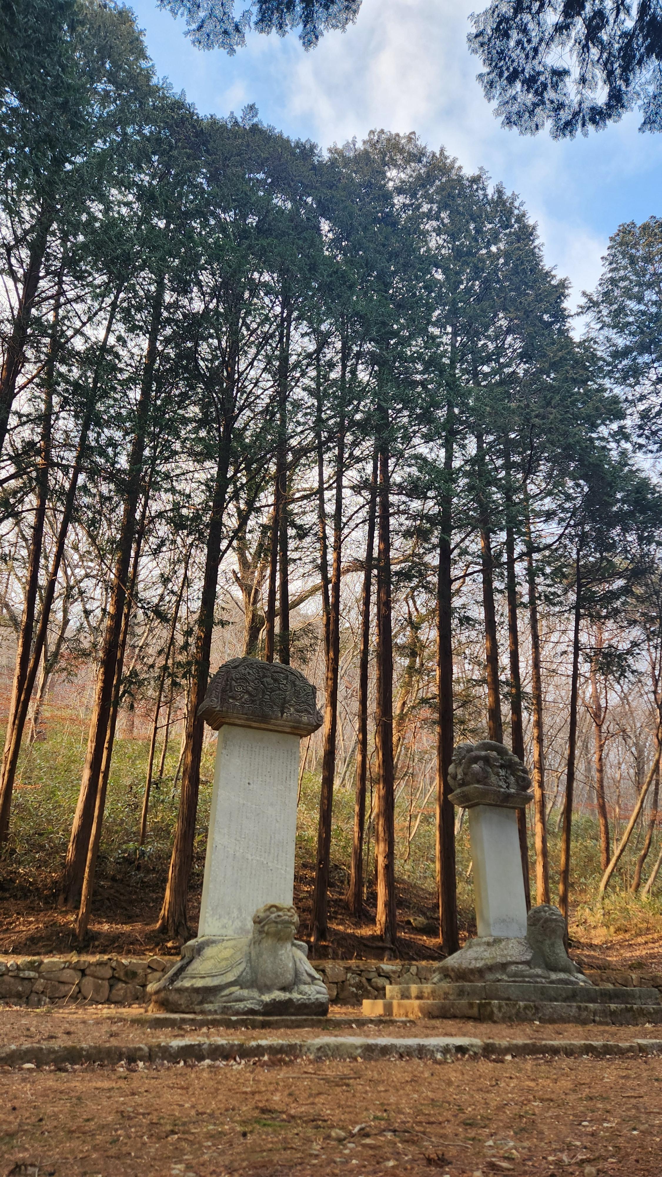 순천 선암사 사진 3