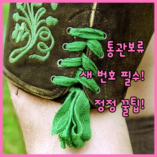 관세청 통관 보류 시 새 개인통관번호..