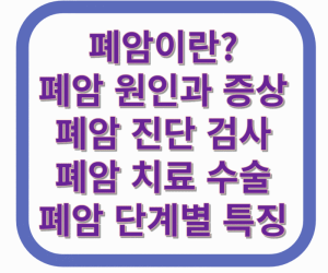 폐암 원인과 증상 진단 검사 치료 수술 단계별 특징