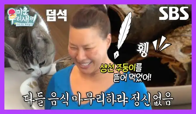 미운 우리 새끼 재방송
