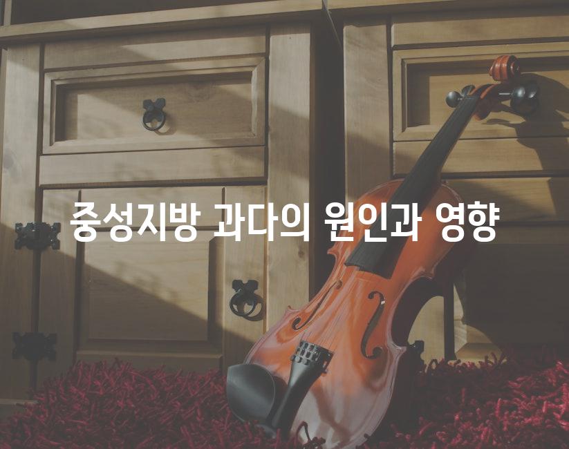 중성지방 과다의 원인과 영향