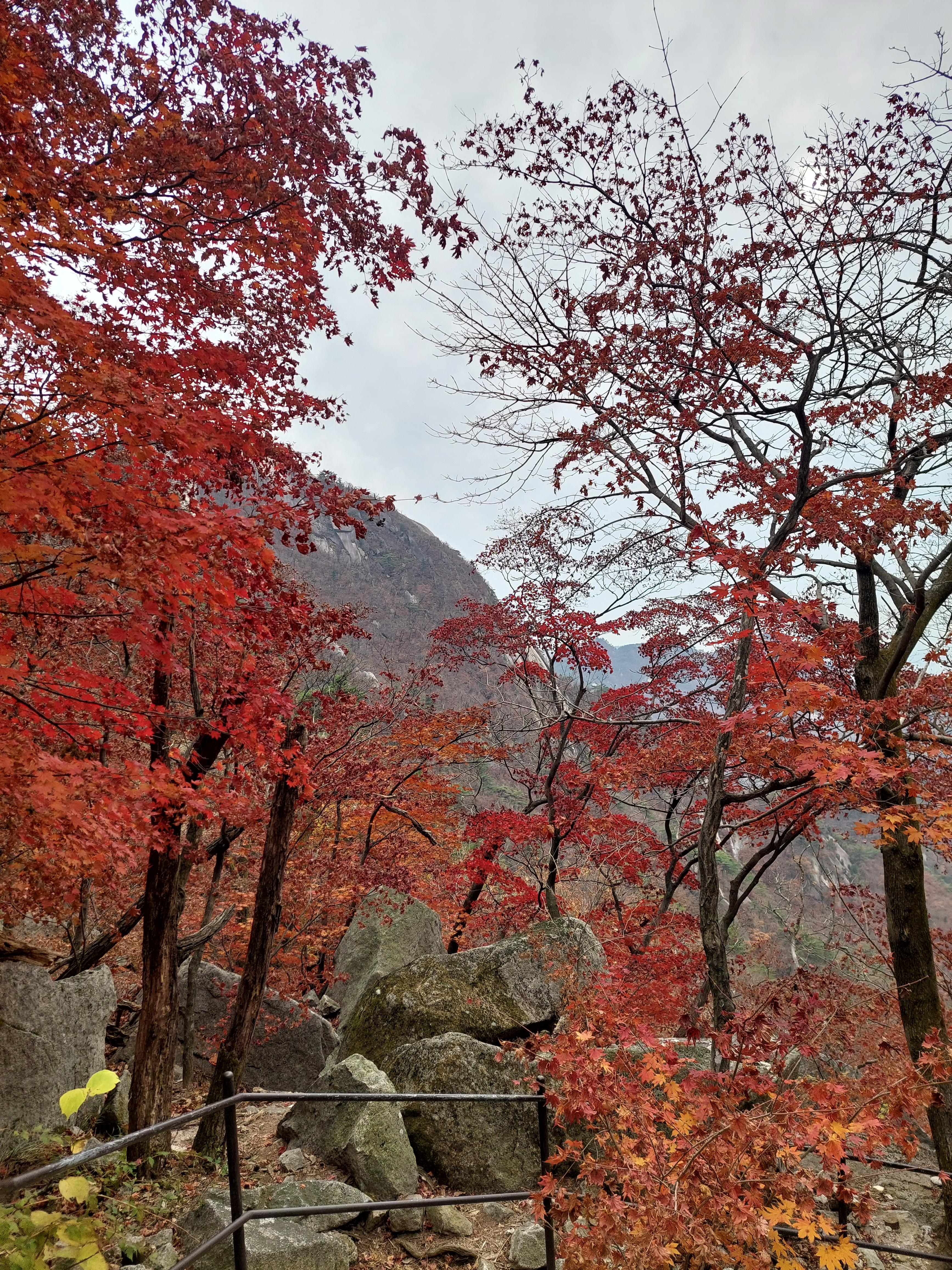 숨은벽