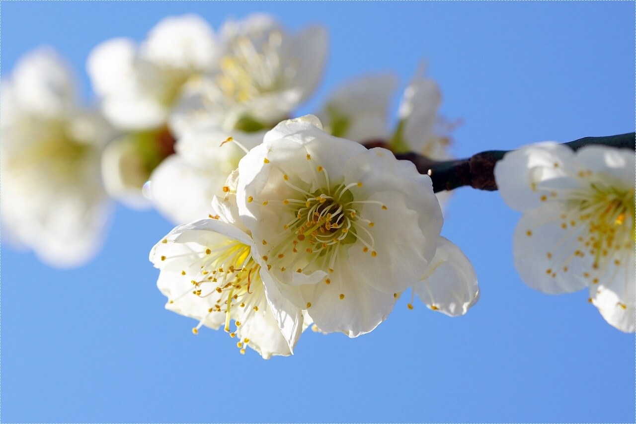 우리은행 정기예금 금리