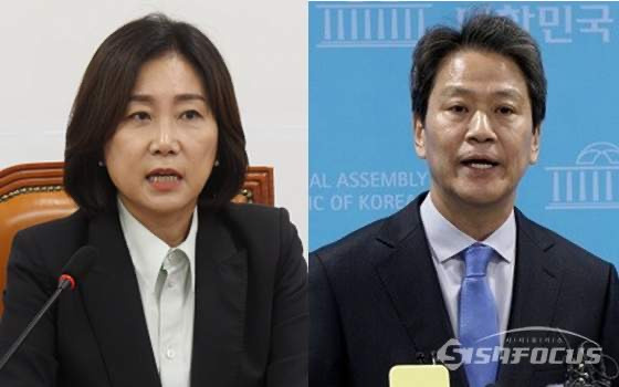 허은아 국회의원 개혁신당 대표