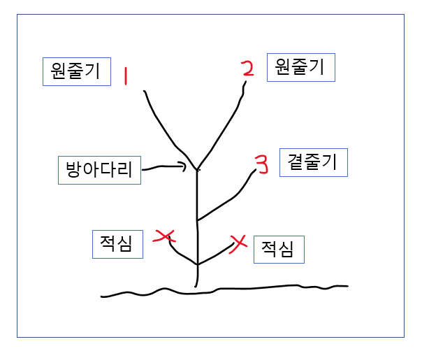 줄기유인방법
