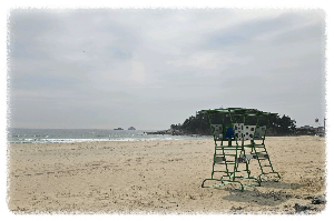 송지호해수욕장