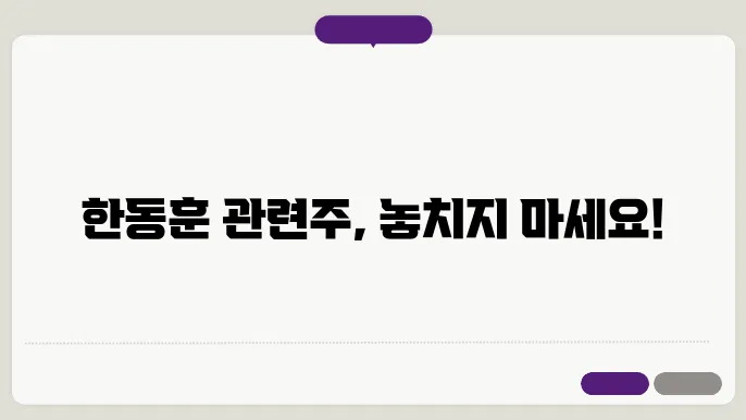 한동훈 관련주 정리