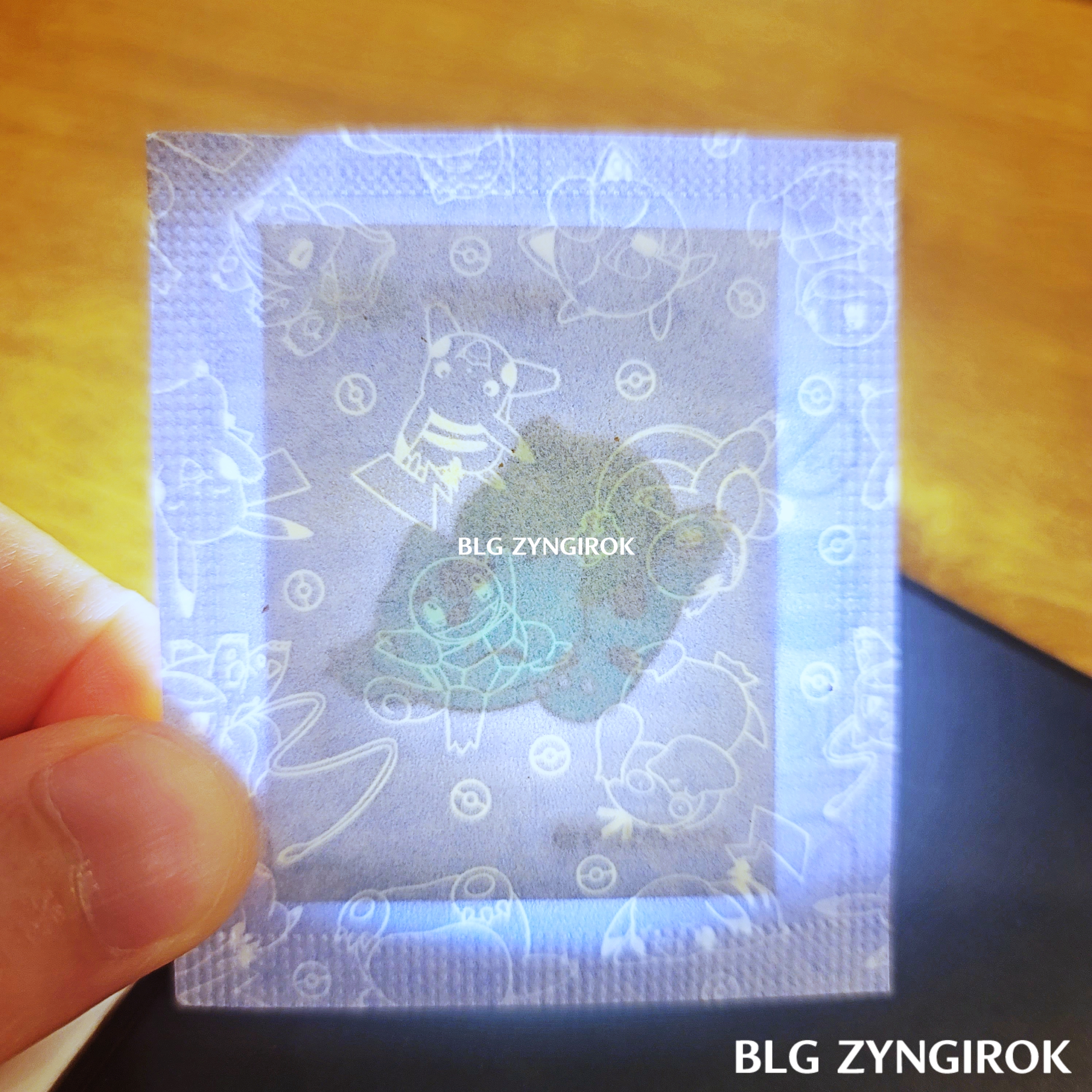 띠부띠부씰-이상해씨를-들고있다.