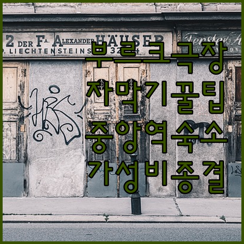 비엔나 여행 부르크극장 자막기 이용 ..