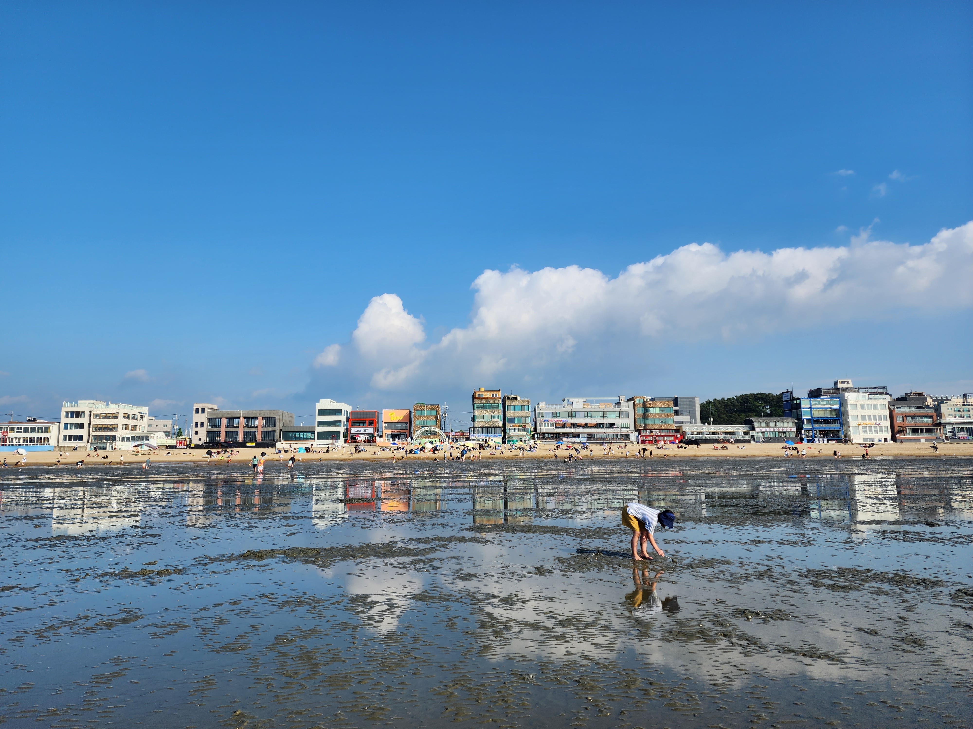 갯벌에서 대부도를 바라보고 한 컷
