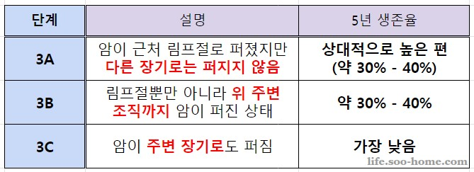 위암 3기 세부 단계
