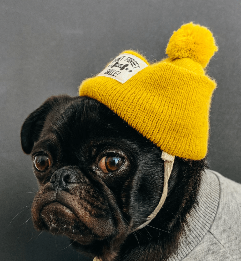 모자의 상황별 활용도