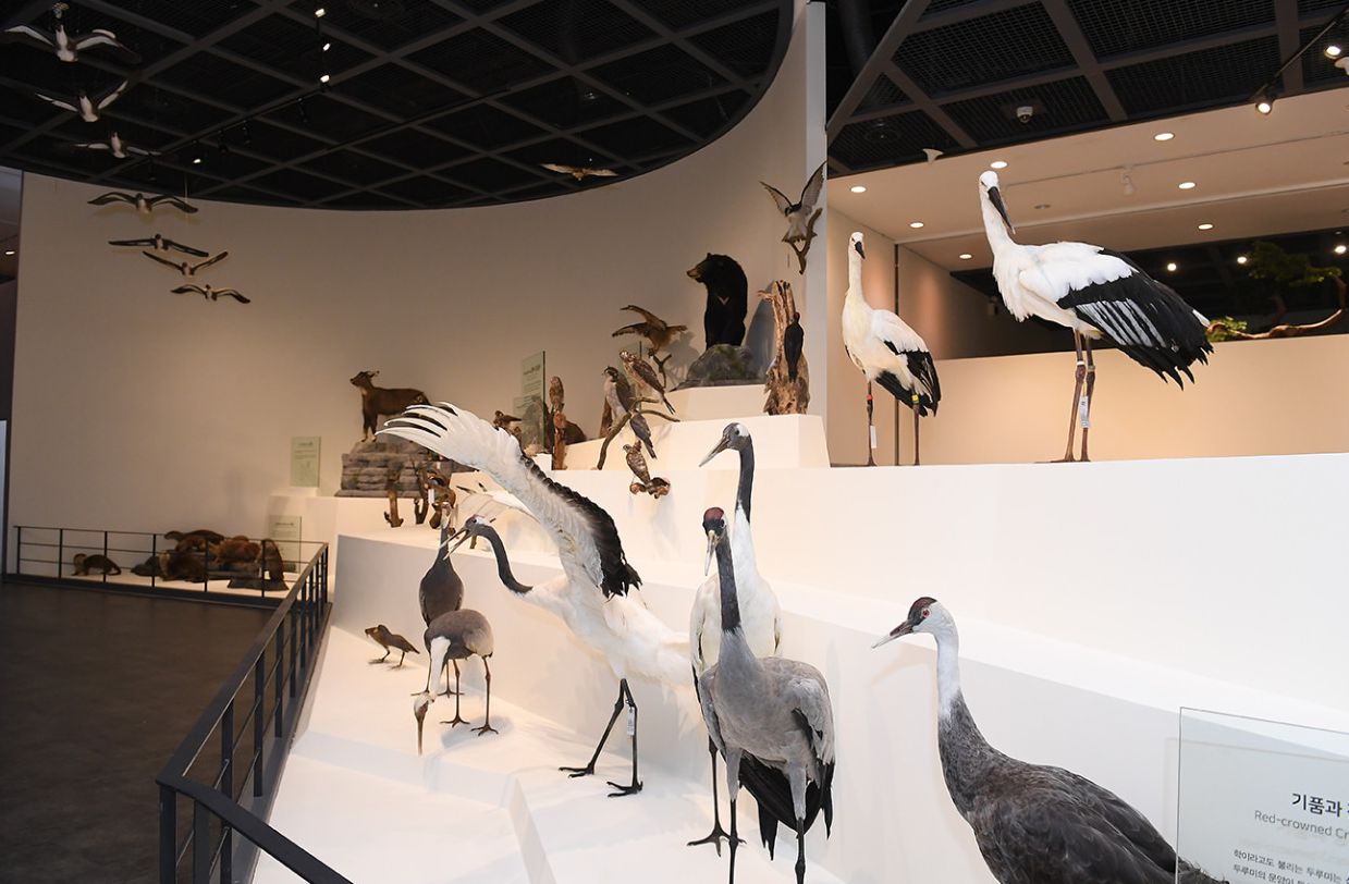 천연기념물센터