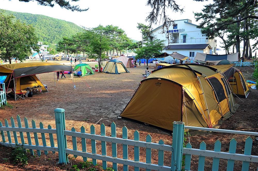 경상남도 남해군 송정솔바람야영장