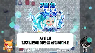 픽셀 법사 키우기 소개 영상
