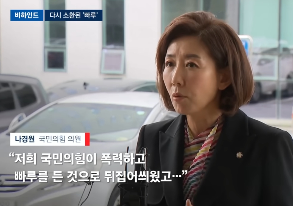 국회 경호처와 충돌 장면