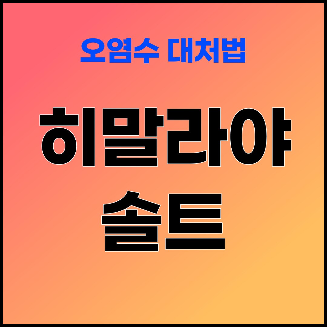 히말라야 솔트