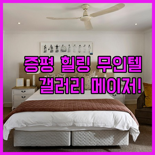충북 증평 숙소 갤러리 메이저 힐링 ..