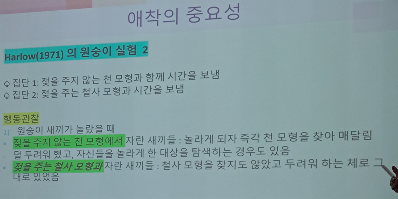 애착형성 할 때 모유수유보다 중요한 것?(feat. 원숭이실험)