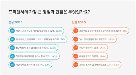 개발자 프리랜서