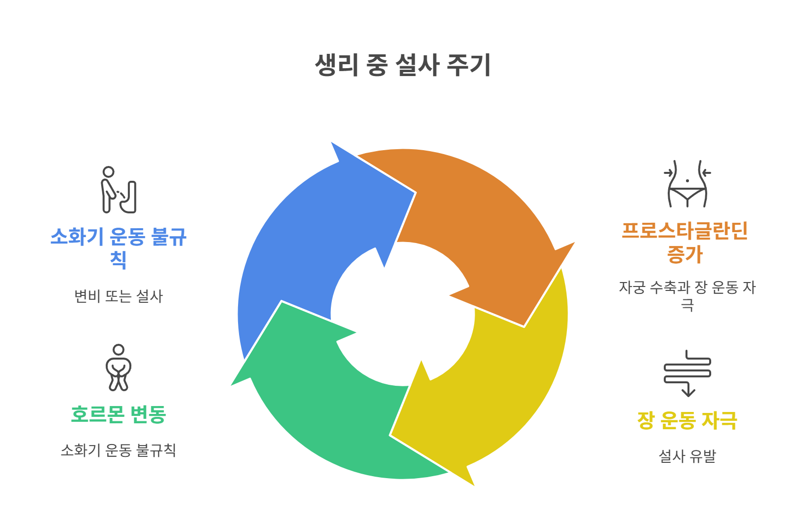 생리 중 설사가 생기는 이유