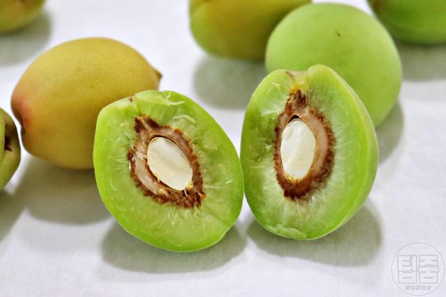 좋은 매실 고르는법 매실효능 매실청 만들기 담그기 매실청효능