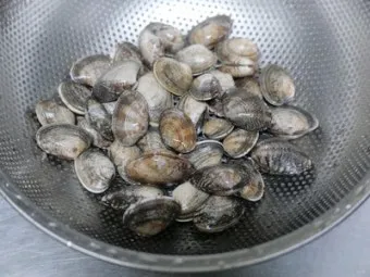 바지락 해감시키는법 깨끗하게 해감하는 방법_10