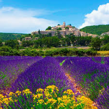 5.경기도 가볼만한곳 - 프로방스 마을