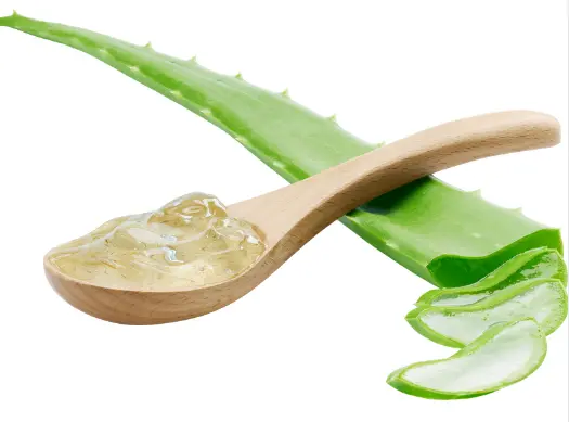 역류성 식도염에 좋은 음식 피해야 할 나쁜 음식