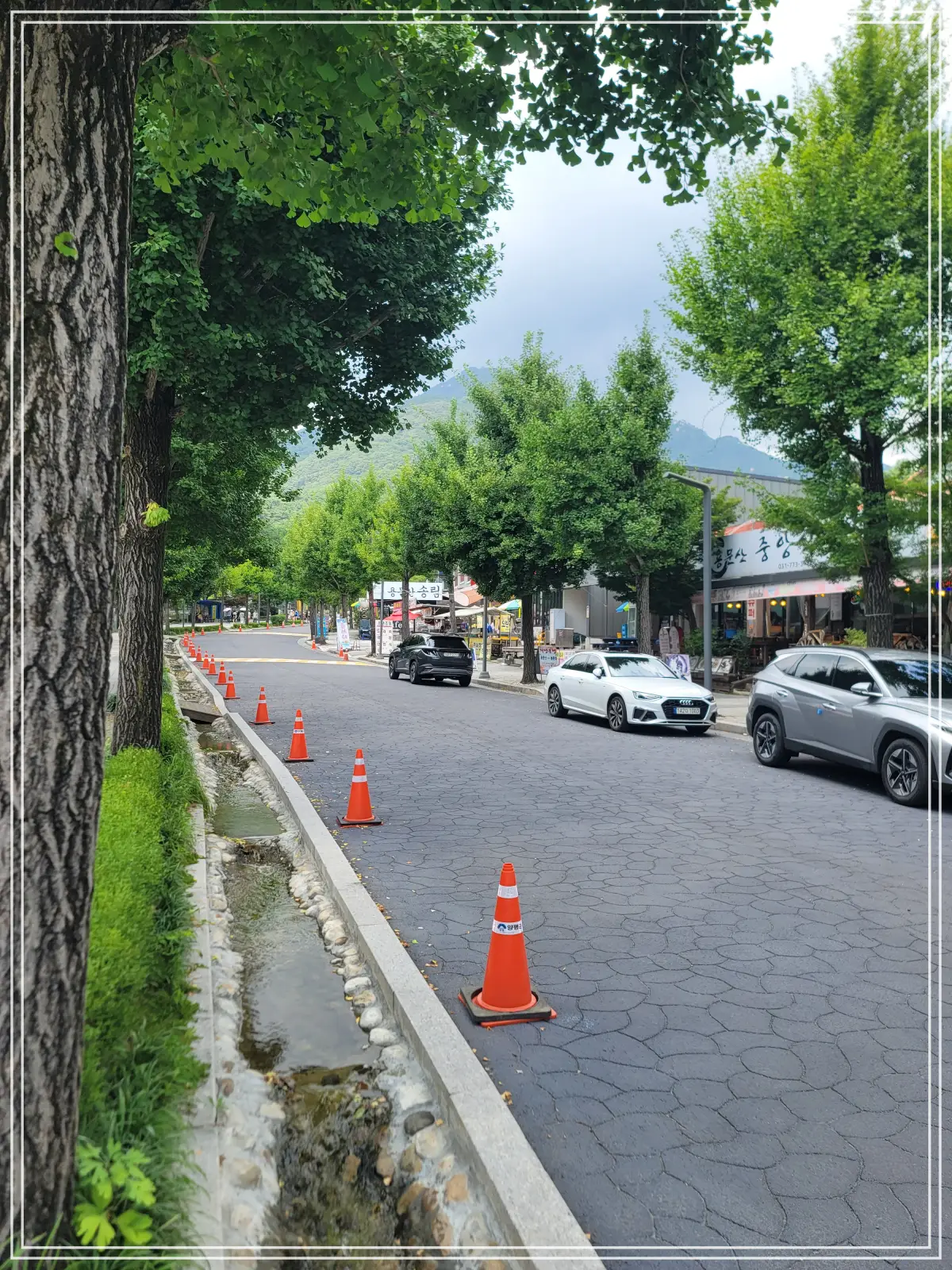 용문사-20250808_125114