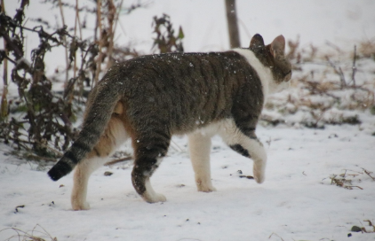 FAQ - 자주 묻는 질문 관련 사진