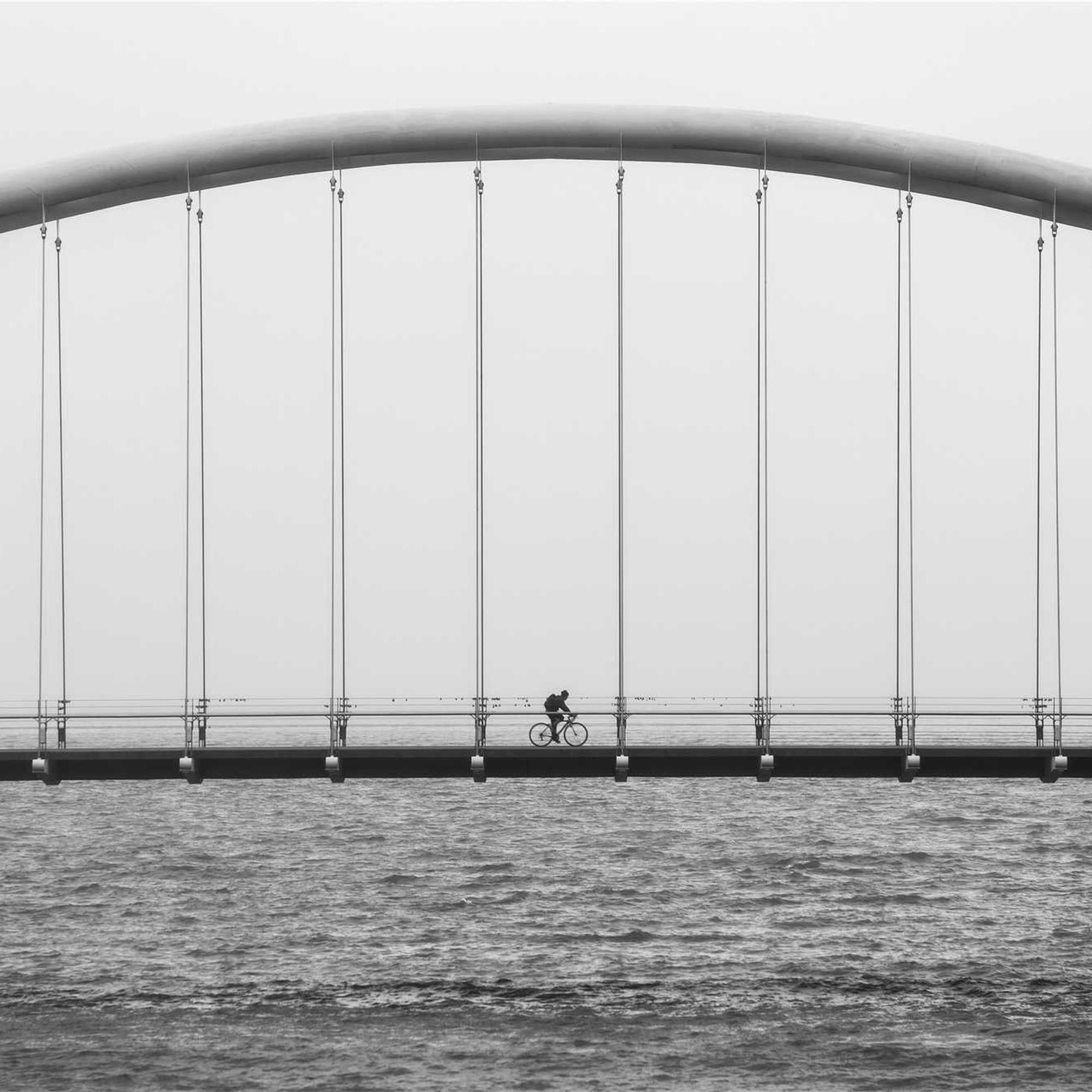 운전면허 갱신-방법과