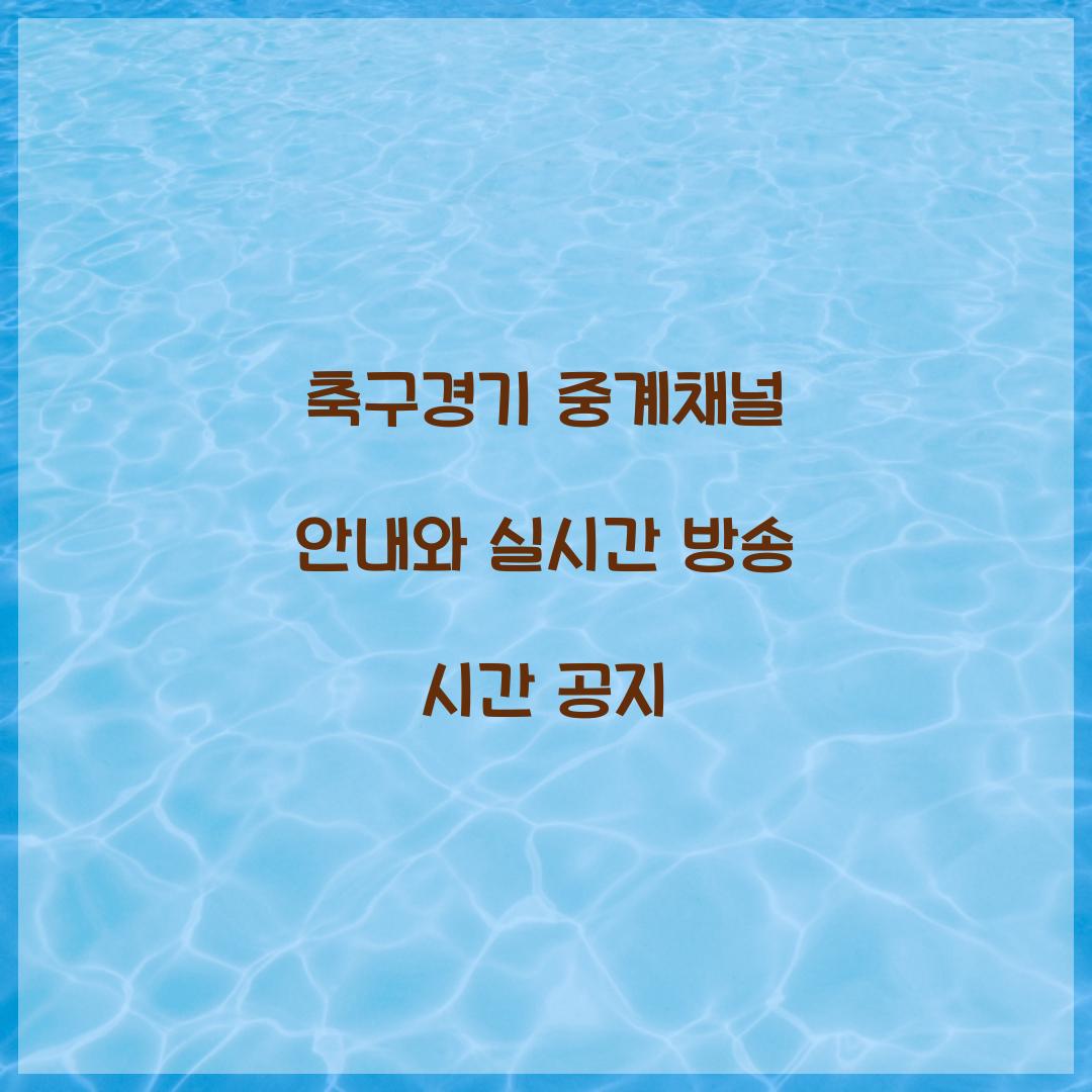 축구경기 중계채널