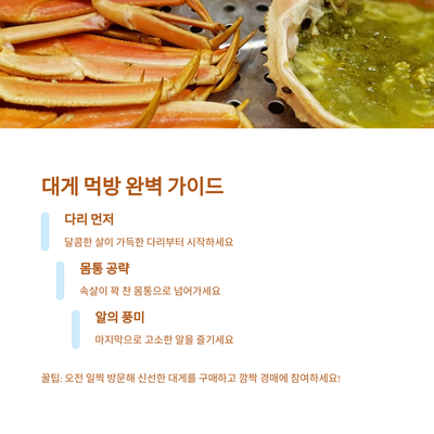 2025 영덕 대게 축제 대게 먹방