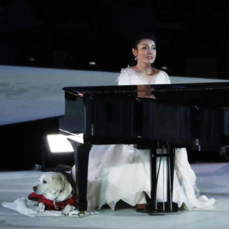 김예지 피아니스트 출신