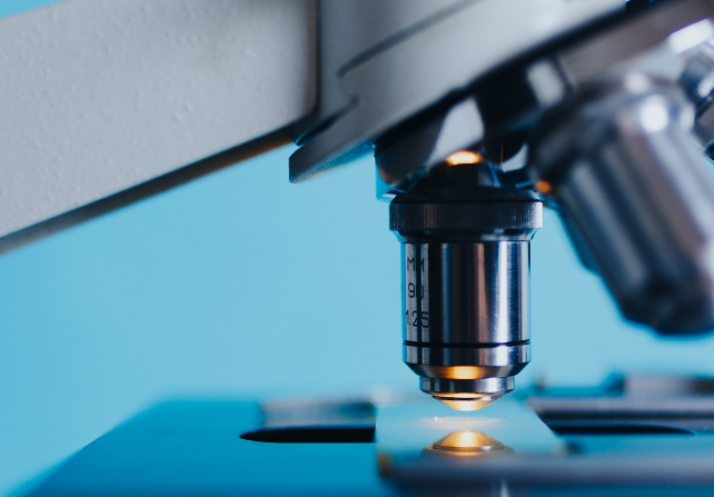 양자 생물학: 생명의 비밀을 푸는 새로운 과학