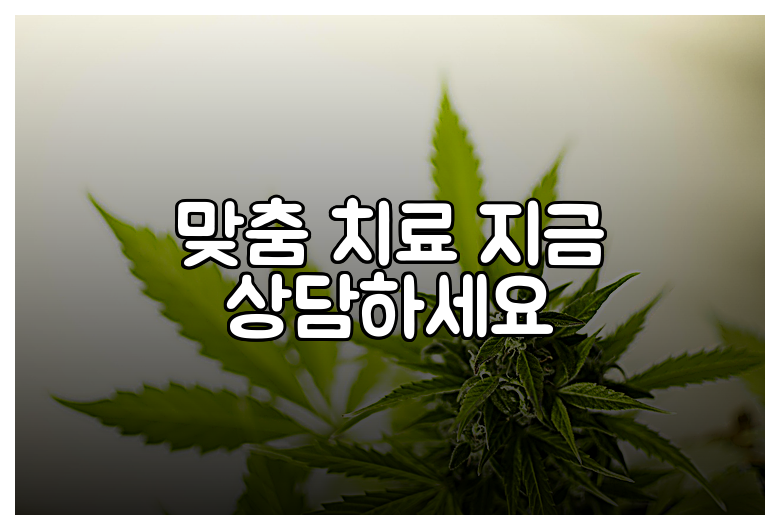 맞춤 치료 지금 상담하세요