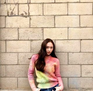 정수정 배우 프로필 나이 가족 언니 제시카 에프엑스