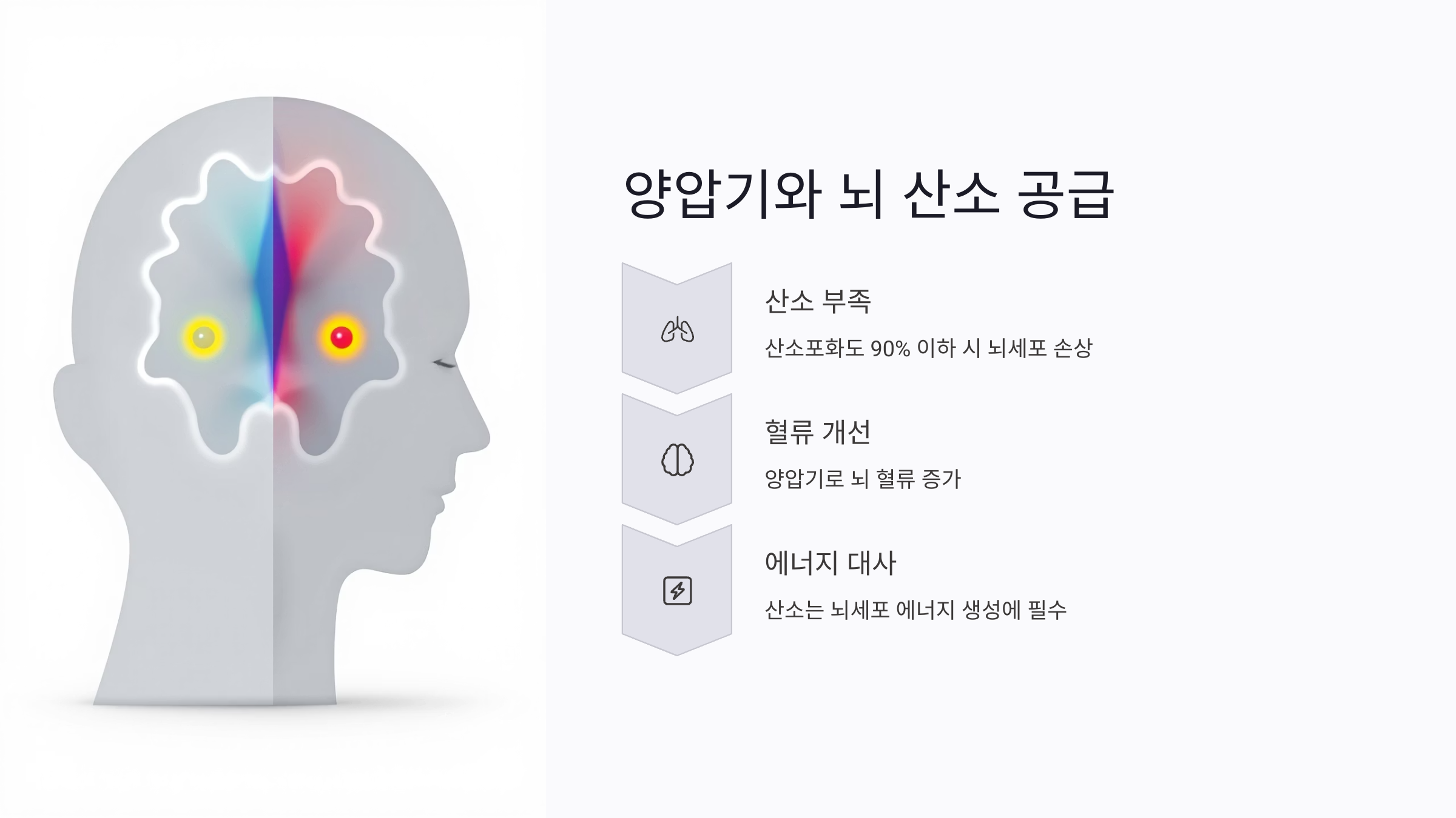 양압기와 뇌산소 공급: 혈류와 산소의 역할
양압기는 수면 중 기도를 열어 주어 산소 공급을 원활히 합니다. 연구에 따르면 수면