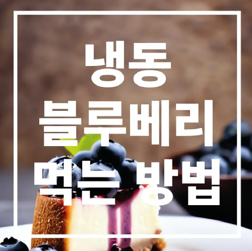 냉동 블루베리 먹는 방법