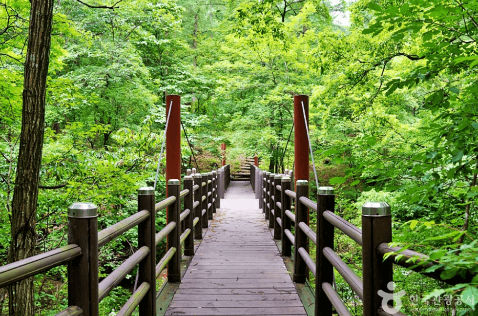 제천시 덕동계곡