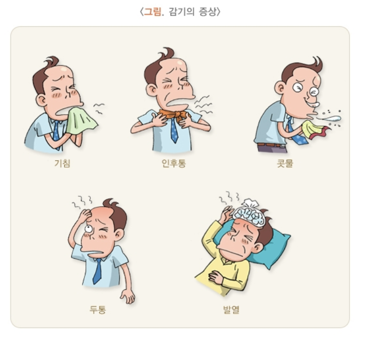 감기의 증상