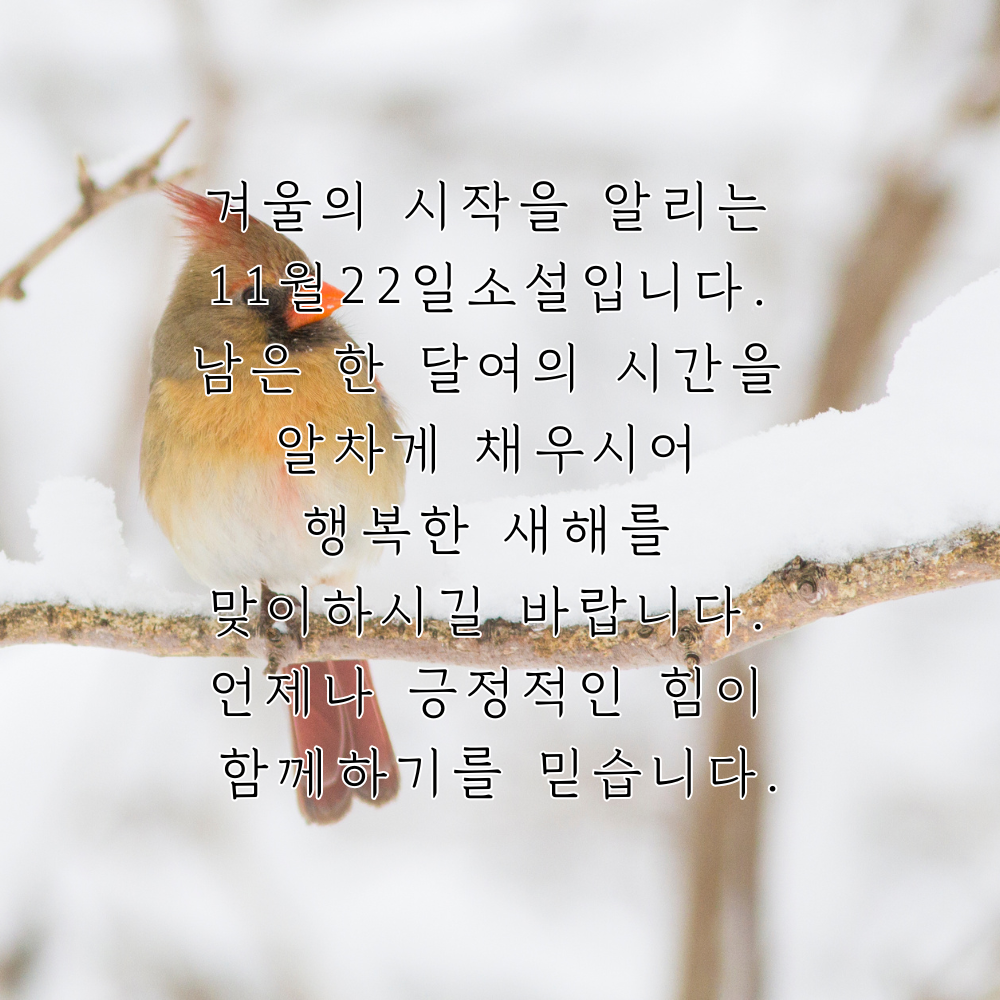 소설 인사말 이미지 겨울 인사글 문구 모음