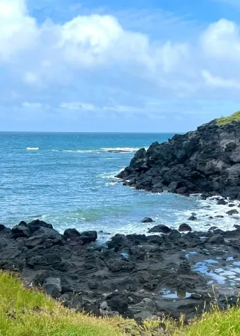 제주 여행 필수 코스 우도 배시간표 요금 예약 방법_28