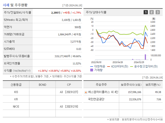 대한해운_기업개요