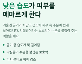 겨울철 피부 건조 가려움