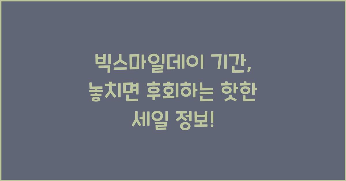 빅스마일데이 기간