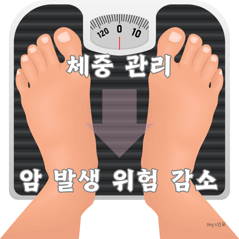 체중 관리