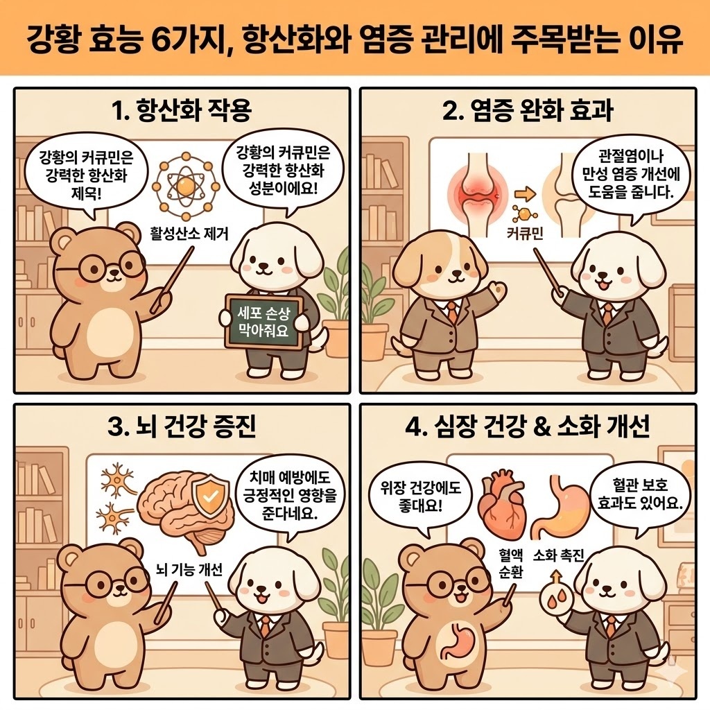 강황 효능 6가지, 항산화와 염증 관리에 주목받는 이유