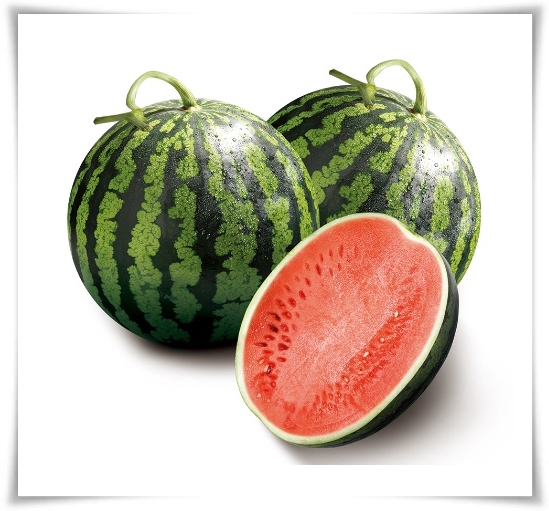 작지만 수박보다 달콤한 애플 수박 키우기! 아파트나 작은 정원에서도 가능해요.